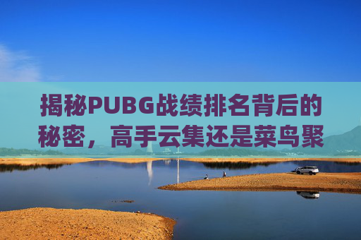 揭秘PUBG战绩排名背后的秘密，高手云集还是菜鸟聚集？,pubg排名积分