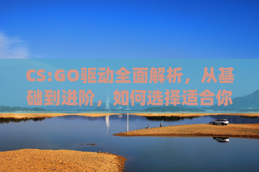 CS:GO驱动全面解析，从基础到进阶，如何选择适合你的驱动方案,csgo哪个驱动最稳