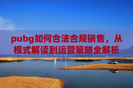 pubg如何合法合规销售，从模式解读到运营策略全解析,pubg怎么卖号