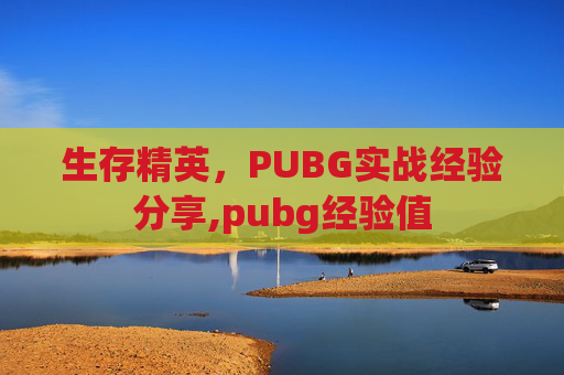 生存精英，PUBG实战经验分享,pubg经验值