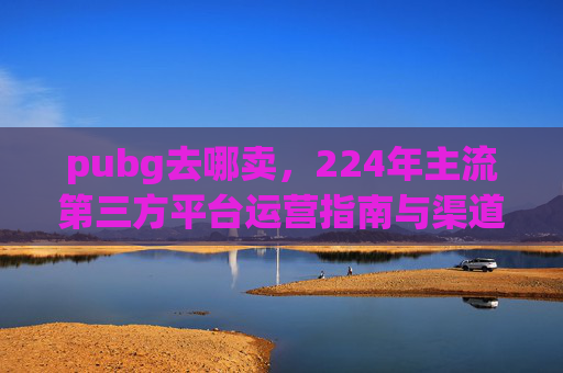 pubg去哪卖，224年主流第三方平台运营指南与渠道避坑,PUBG号在哪卖