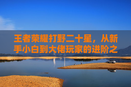 王者荣耀打野二十星，从新手小白到大佬玩家的进阶之路与技巧解析,王者荣耀打野二十星怎么打